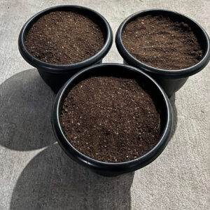 Ready-to-Use Potting Mix 🪴